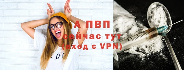 ПСИЛОЦИБИНОВЫЕ ГРИБЫ Коряжма