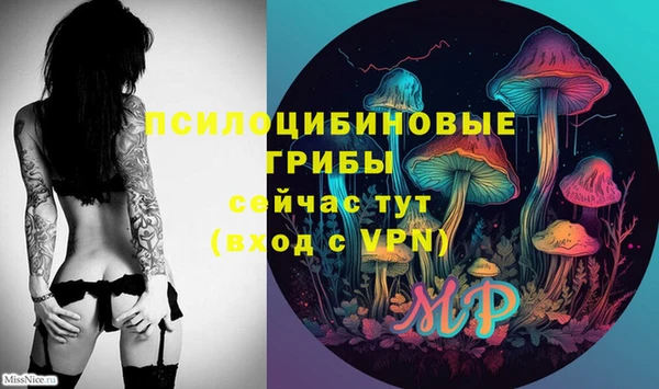 прущие крисы Краснотурьинск
