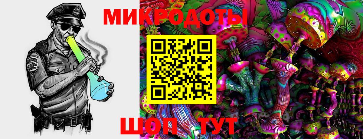 Галлюциногенные грибы Psilocybe Михайловка