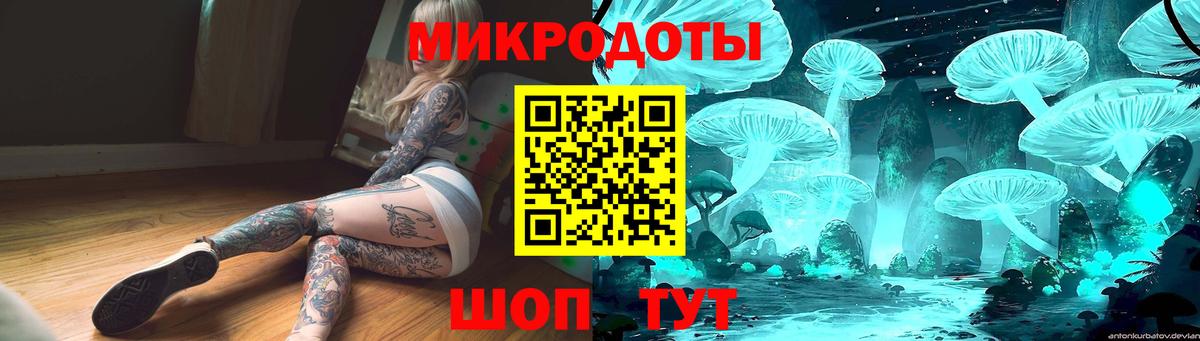 Псилоцибиновые грибы GOLDEN TEACHER  где продают   Михайловка  Вход с VPN  Псилоцибиновые грибы мухоморы 